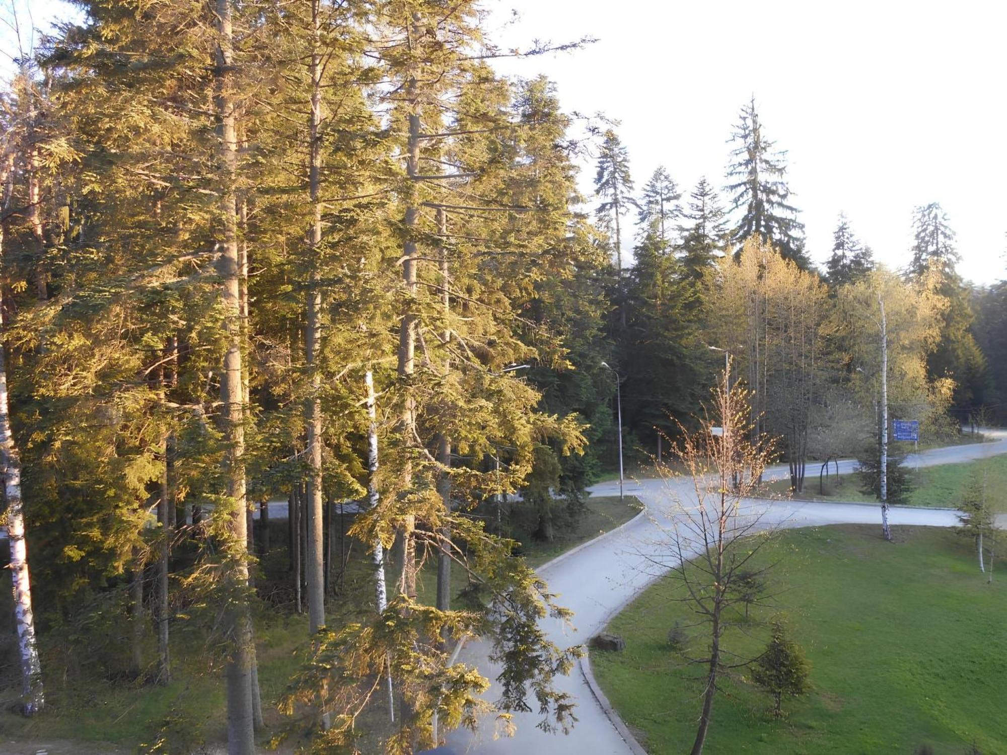 Neat Studios In "Borovets Gardens" Hotel Eksteriør bilde